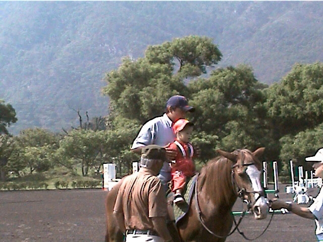 Aprendiendo a montar caballos